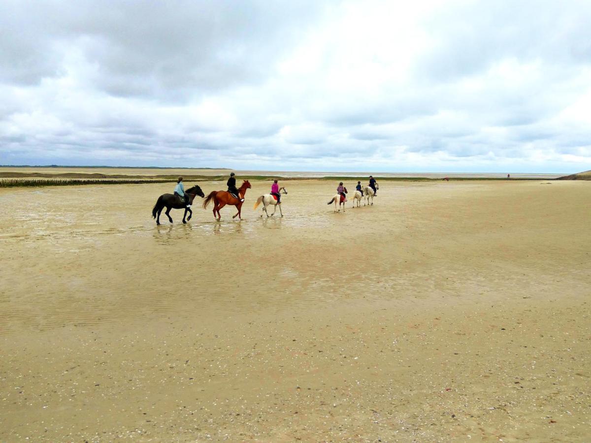 Maison Proche Des Immenses Plages De Berck Sur Mer A 1,8Km Des Plages المظهر الخارجي الصورة